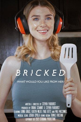 Bricked () poster