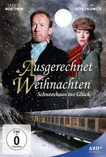 Ausgerechnet Weihnachten (2005) poster