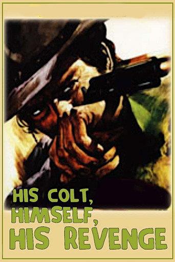 His Colt, Himself, His Revenge (1973) poster