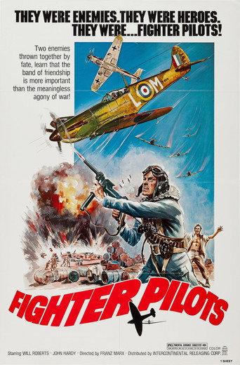 Fighter Pilots (1975) poster