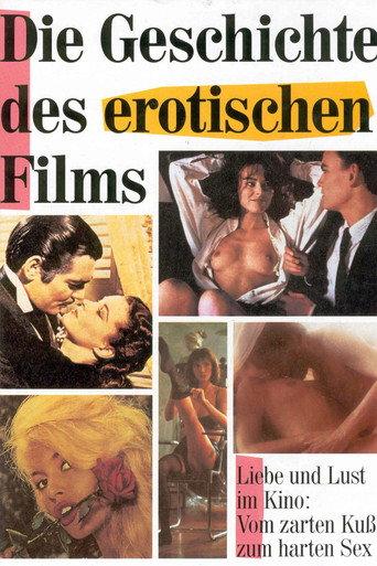 The Story of Erotic Film (2004) poster