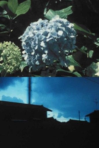 Imitating the Flower of Hydrangea (1985) poster