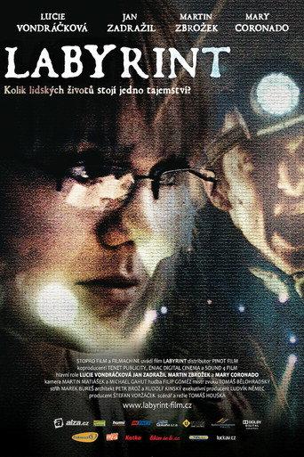 Labyrinth (2012) poster