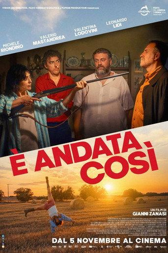 È andata così (2026) poster