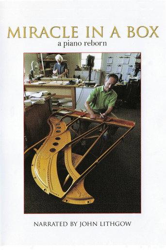 Miracle in a Box: A Piano Reborn (2009) poster