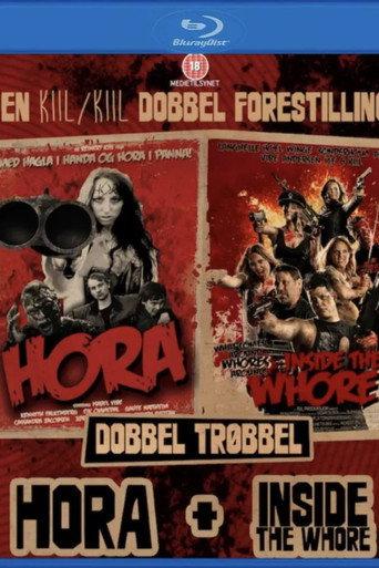 Double Truble Whore (2015) poster