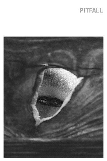 Pitfall (1962) poster