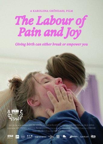 The Labour of Pain and Joy (2024) poster