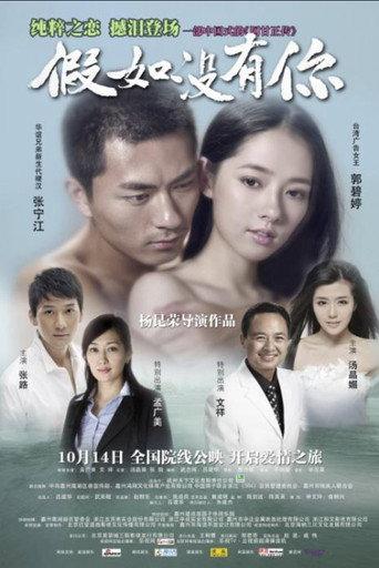 假如没有你 (2011) poster