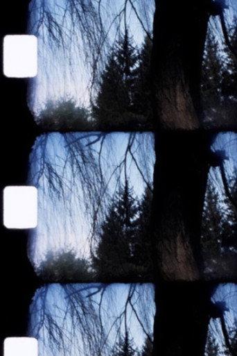 Jardin (1990) poster