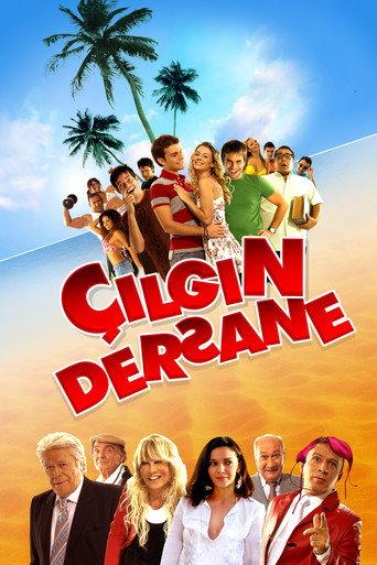 The Class (2007) poster