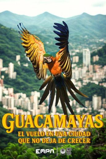 Guacamayas: El vuelo en una ciudad que no deja de crecer (2026) poster