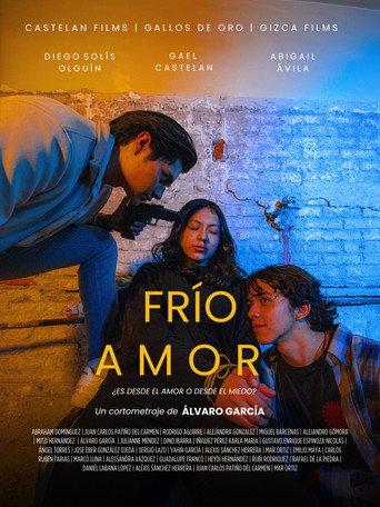 Frío Amor (2024) poster