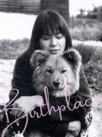 Birthplace (2003) poster