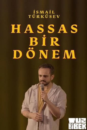 Hassas Bir Dönem - İsmail Türküsev (2023) poster