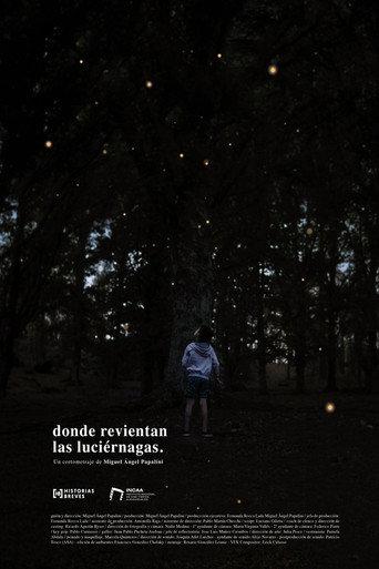 Where the fireflies burst (2024) poster