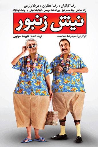 Nish Zanbor (2009) poster