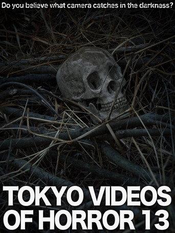 Tokyo Videos of Horror 13 (2015) poster