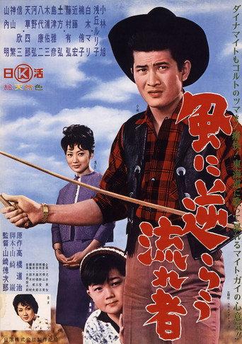 Rambling in the Wind (1961) poster