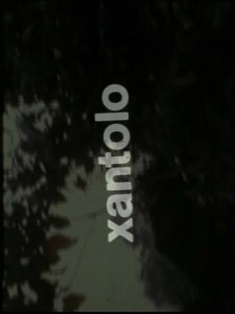 Xantolo, fiesta de la muerte (1973) poster