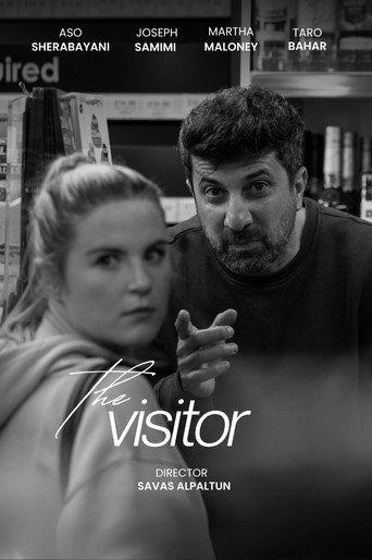 The Visitor (2025) poster