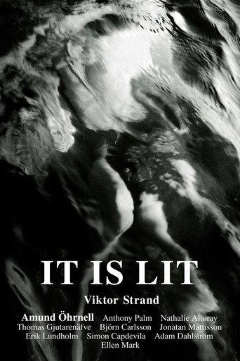 It Is Lit (2024) poster