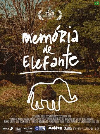 Memória de Elefante () poster