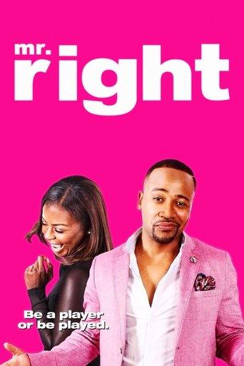 Mr. Right (2015) poster