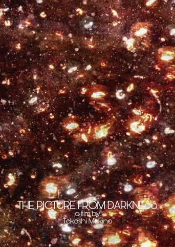 The Picture from Darkness (2016) poster