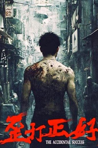 歪打正好 (2025) poster