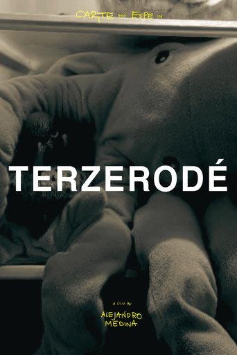 Terzerodé (2025) poster
