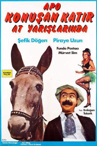 Apo Konuşan Katır At Yarışlarında () poster