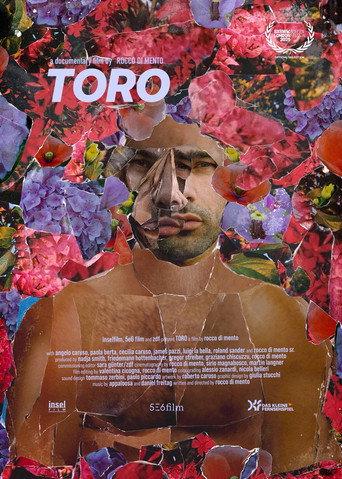 Toro (2025) poster