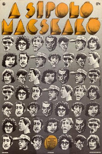 The Whistling Cobblestone (1971) poster