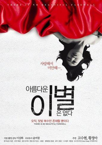 There Is No Beautiful Farewell (2013) poster