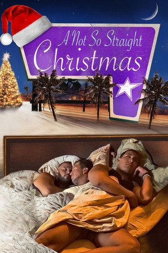 A Not So Straight Christmas (2024) poster