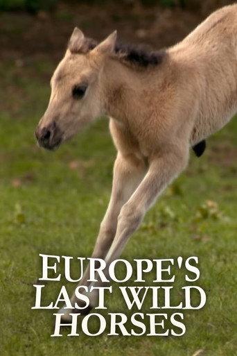 Europe's Last Wild Horses (2012) poster