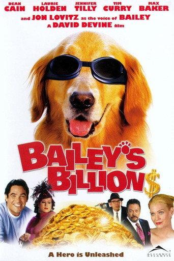 Bailey's Billion$ (2005) poster