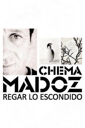 Chema Madoz: regar lo escondido (2013) poster