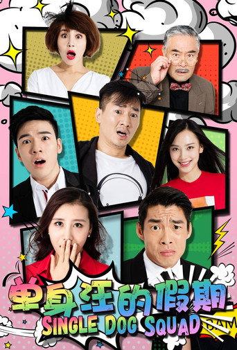 单身汪的假期 (2017) poster