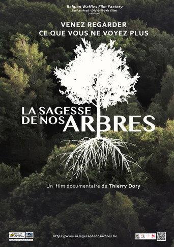 La sagesse de nos arbres (2025) poster