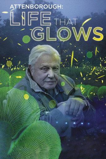 Attenborough's Life That Glows (2016) poster