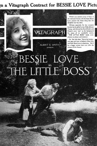 The Little Boss (1919) poster