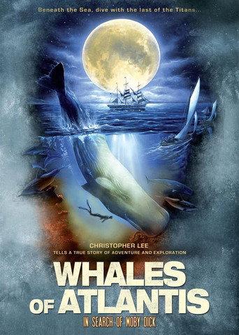 Whales of Atlantis: In Search of Moby Dick (2003) poster