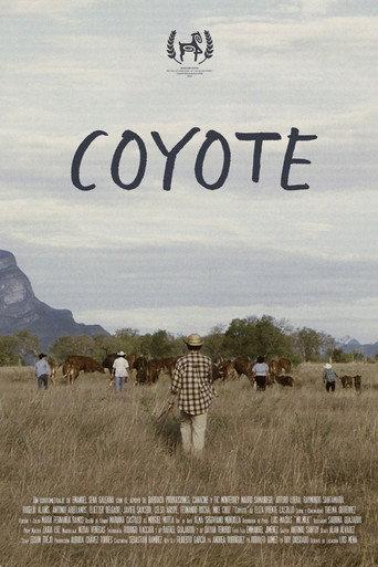 Coyote () poster