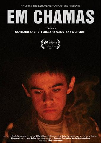 In Flames (2026) poster