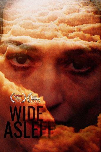 Wide Asleep () poster