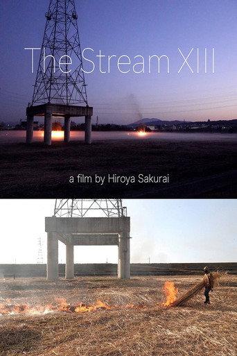 Stream XIII (2024) poster