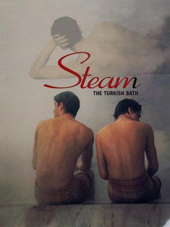 Steam: The Turkish Bath (1997) poster