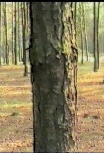Dancing with Trees (1985) poster